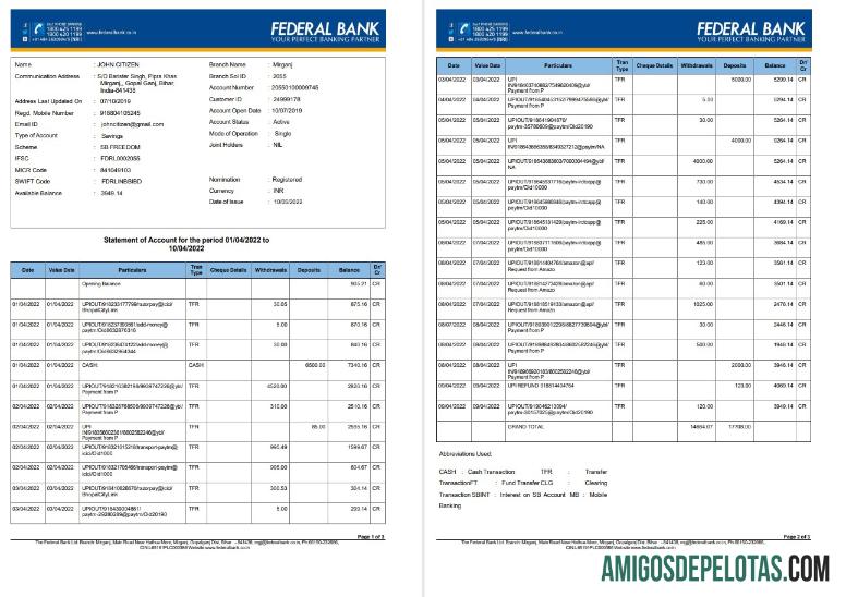 India Federal Bank Account Statement 3 Pages amostra